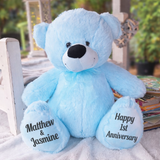 Light Blue Bear 30cm Anniversary Gift with Message on Feet