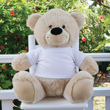 40cm Beige Zipper Bear with Personalised Photo, Message & Recordable Heart - Memorial