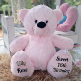 16th Birthday Personalised 30cm Light Pink Bear Message on Feet