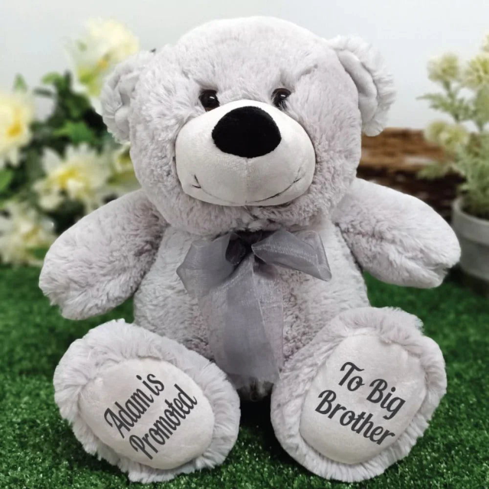Silver Bear 30cm Big Brother Gift with Message on Feet