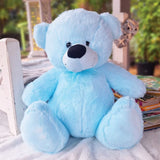Light Blue Bear 30cm Anniversary Gift with Message on Feet