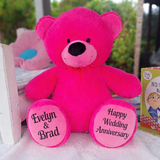 Hot Pink Bear 40cm Anniversary Gift with Message on Feet