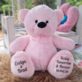 Light Pink Bear 40cm Anniversary Personalised on Feet