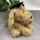 Max the Dog Plush Toy 25x20cm Graduation with Personalised Badge