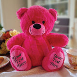 Hot Pink Bear 40cm with Message on Feet