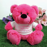 23cm Hot Pink Bear Get Well Soon Personalised Gift