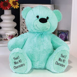 Mint Bear 30cm – 18th Birthday Message on Feet
