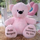 Anniversary Gift Light Pink Bear 30cm with Message on Feet