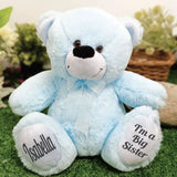 Light Blue Bear 40cm Big Sister Personalised Message on Feet