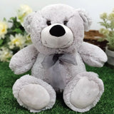 30cm Silver Bear Get Well Soon Personalised Message on Feet