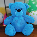 Bright Blue Bear 30cm Big Brother Personalised Message on Feet