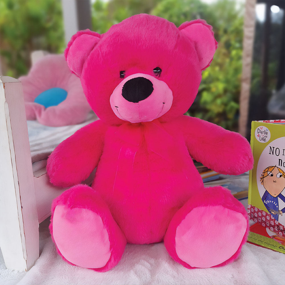 Hot Pink Bear 40cm Nanna Message on Feet