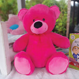 Hot Pink Bear 40cm 13th Birthday Personalised on Feet