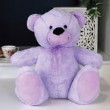 Personalised Lavender Bear 30cm Big Sister Message on Feet