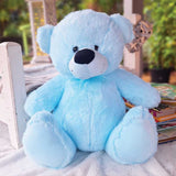 Light Blue Bear 30cm 1st Birthday Personalised on Feet