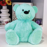 30cm Mint Bear 21st Birthday with Personalised Message on Feet