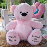 40cm Light Pink Bear for Grandad with Message on Feet