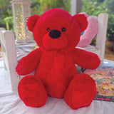 Personalised 40cm Red Bear with Custom Feet Message