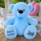 Light Blue Bear 40cm Valentines Day Message on Feet