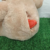 40cm Wedding Photo Zipper Bear with Recordable Heart