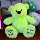 40cm Lime Bear Anniversary Gift with Message on Feet