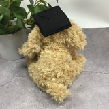 Max the Dog Plush Toy 25x20cm Graduation with Personalised Badge