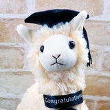 Personalised Graduation Llama Plush Toy with Message on Badge