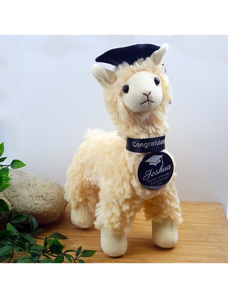 Graduation Bear Llama with Personalised Badge