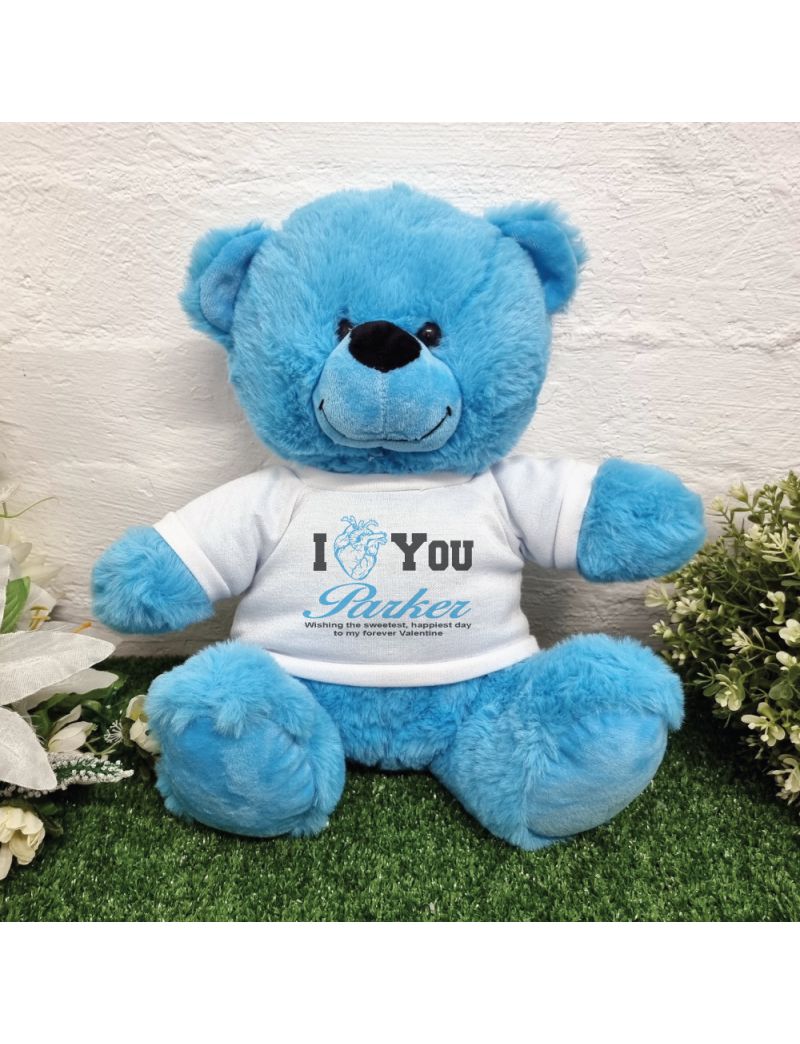 Valentines Anatomical Heart Bear Bright Blue Plush 30cm