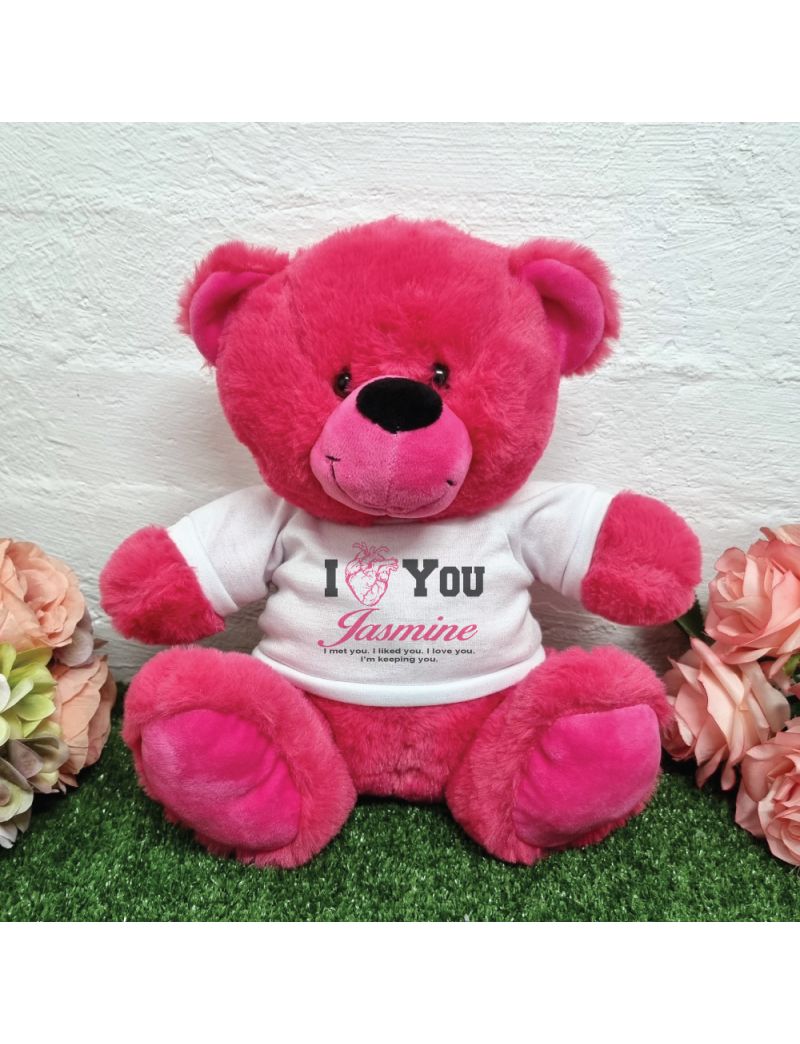 Valentines Day Anatomical Heart Bear Hot Pink Plush 30cm