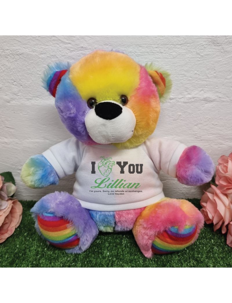 Valentines Day Anatomical Heart Bear Rainbow Plush 30cm