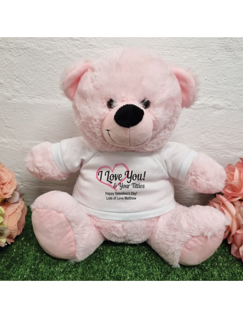 Valentines Day Bear Love Your Naughty Bits - 30cm Light Pink