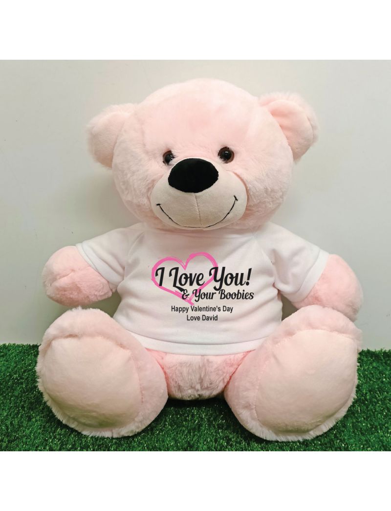 Valentines Day Bear Love Your Naughty Bits - 40cm Light Pink