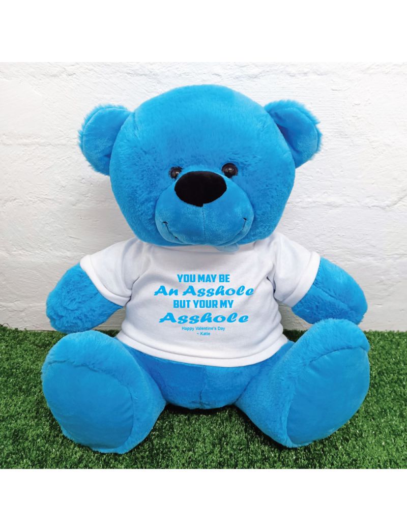 Valentines Day Bear You may Be A - 40cm Blue