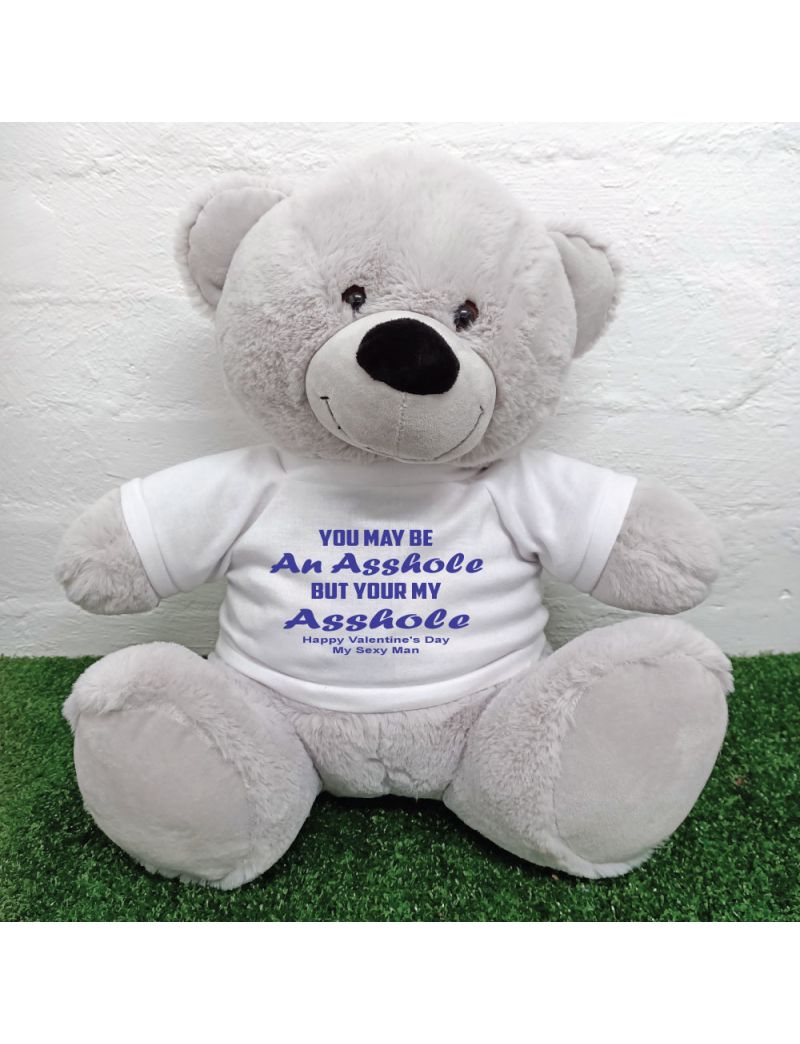 Valentines Day Bear You may Be A - 40cm Grey