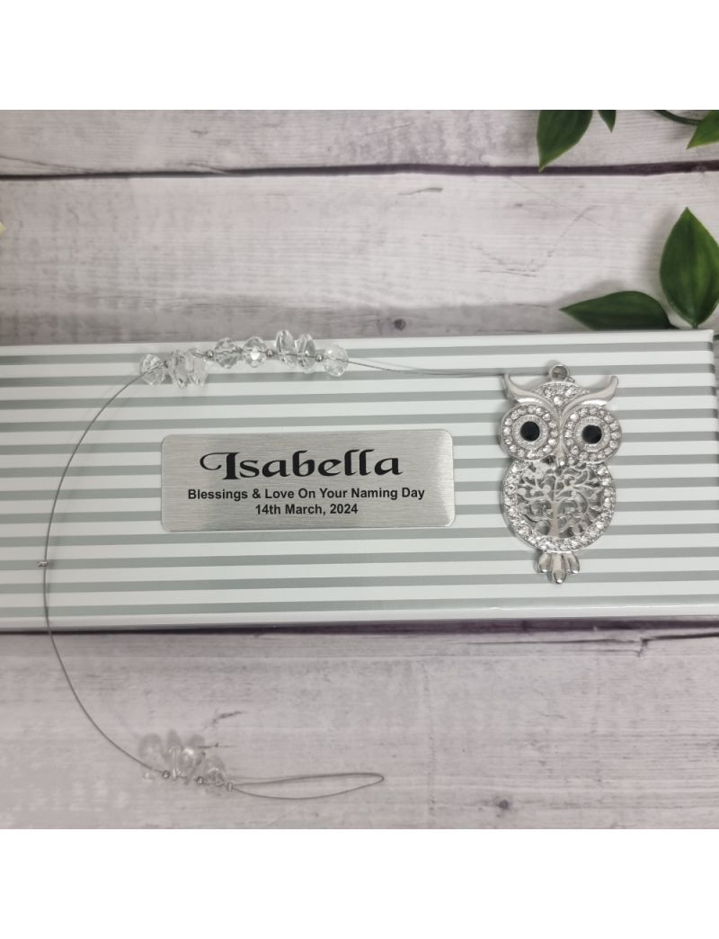 Naming Day Diamante Owl Suncatcher