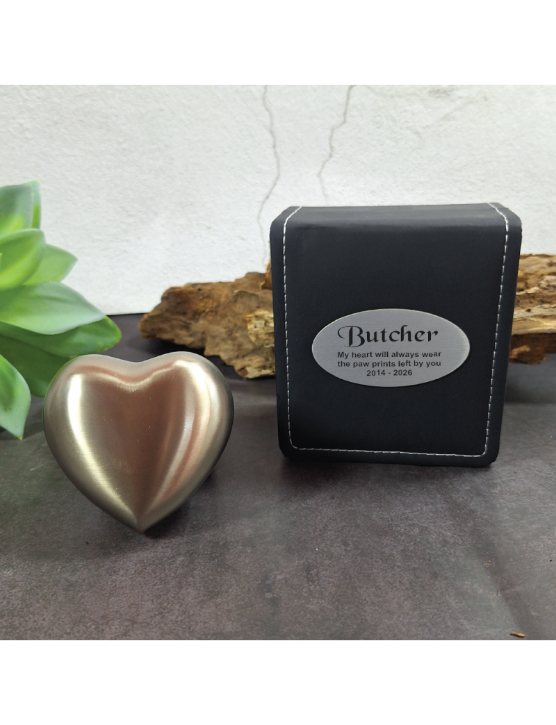Pet Memorial keepsake Urn For Ashes Pewter Heart