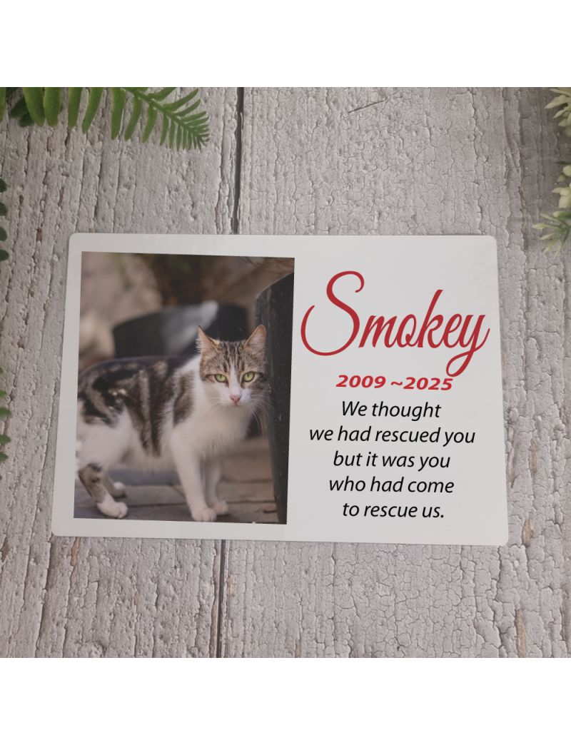 Cat Memorial Photo Plaque 5x7