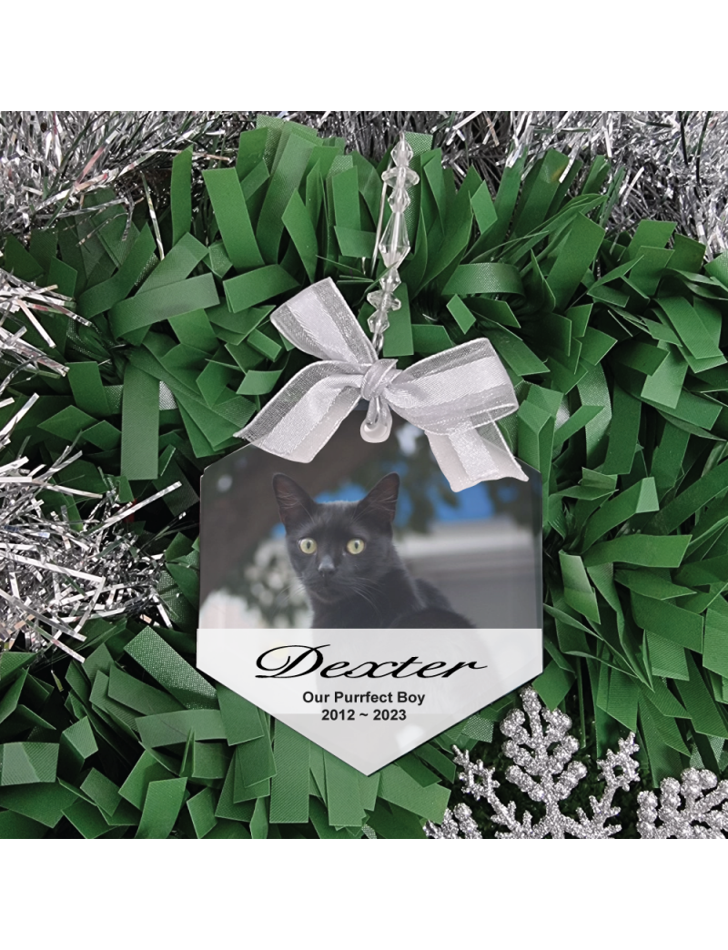  Pet Memorial Frosted Christmas Ornament