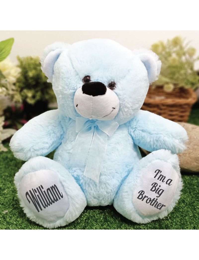 Big Brother Teddy Bear 30cm Light Blue