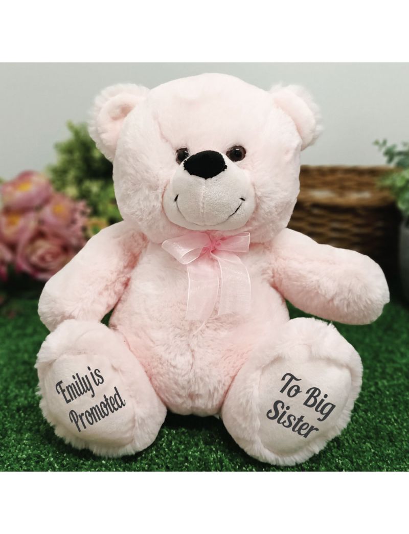 Personalised Message Bear 30cm Light Pink