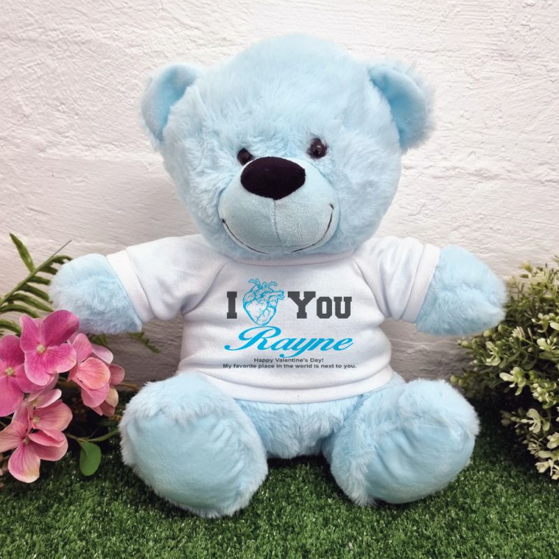 Valentines Day Anatomical Heart Bear Light Blue Plush 30cm