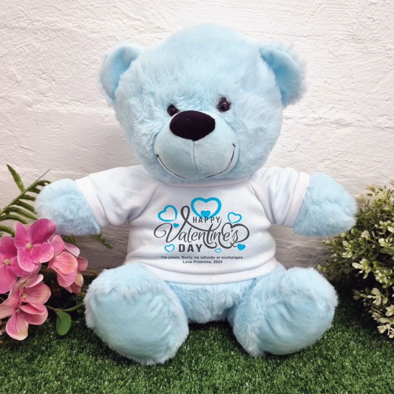 Happy Valentines Day Bear Light Blue Plush 30cm