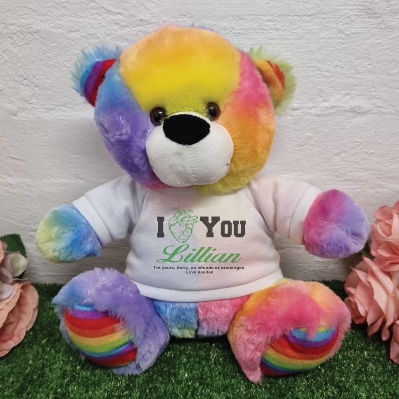 Valentines Day Anatomical Heart Bear Rainbow Plush 30cm