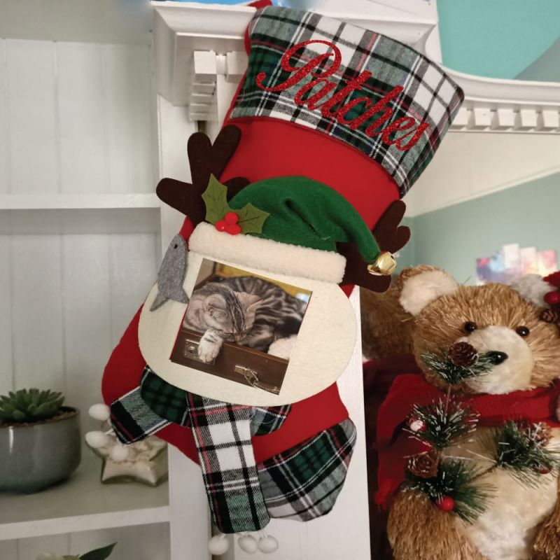 Personalised Pet Photo Christmas Stocking - Red