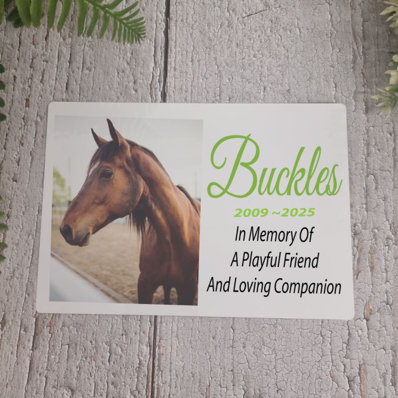 Pet Memorial Photo Plaque 5x7