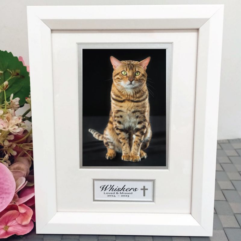 Pet Memorial Photo Frame White Wood 4x6 Photo
